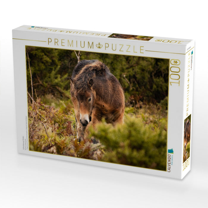 Schüchternes Fohlen - CALVENDO Foto-Puzzle'