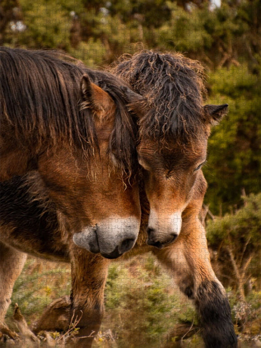 Mutter und Sohn - CALVENDO Foto-Puzzle'