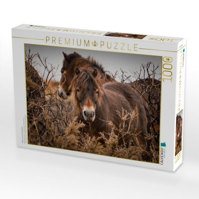 Wildes, rauhes Pferdeleben - CALVENDO Foto-Puzzle'