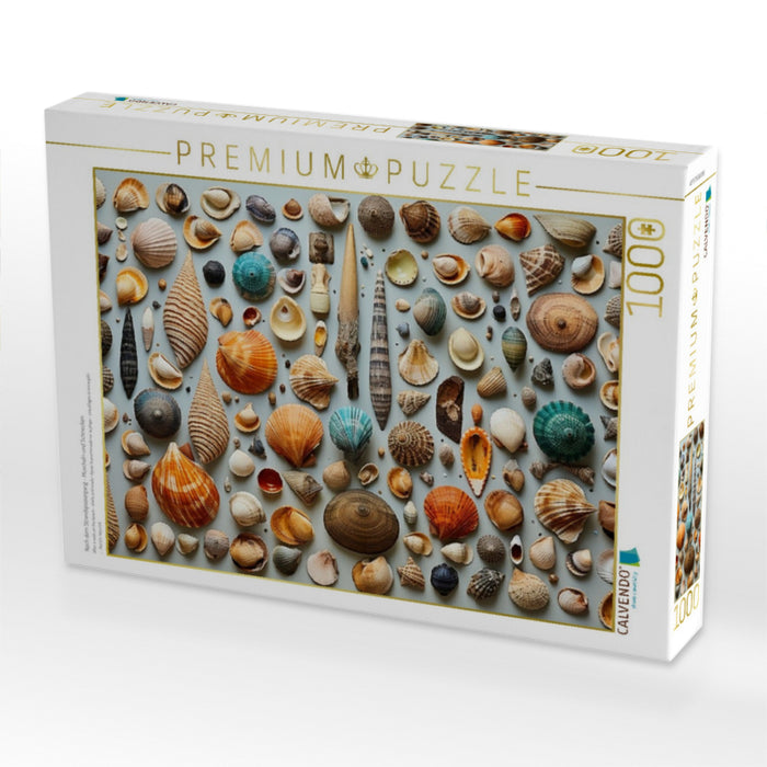 Nach dem Strandspaziergang - Muscheln und Schnecken - CALVENDO Foto-Puzzle'