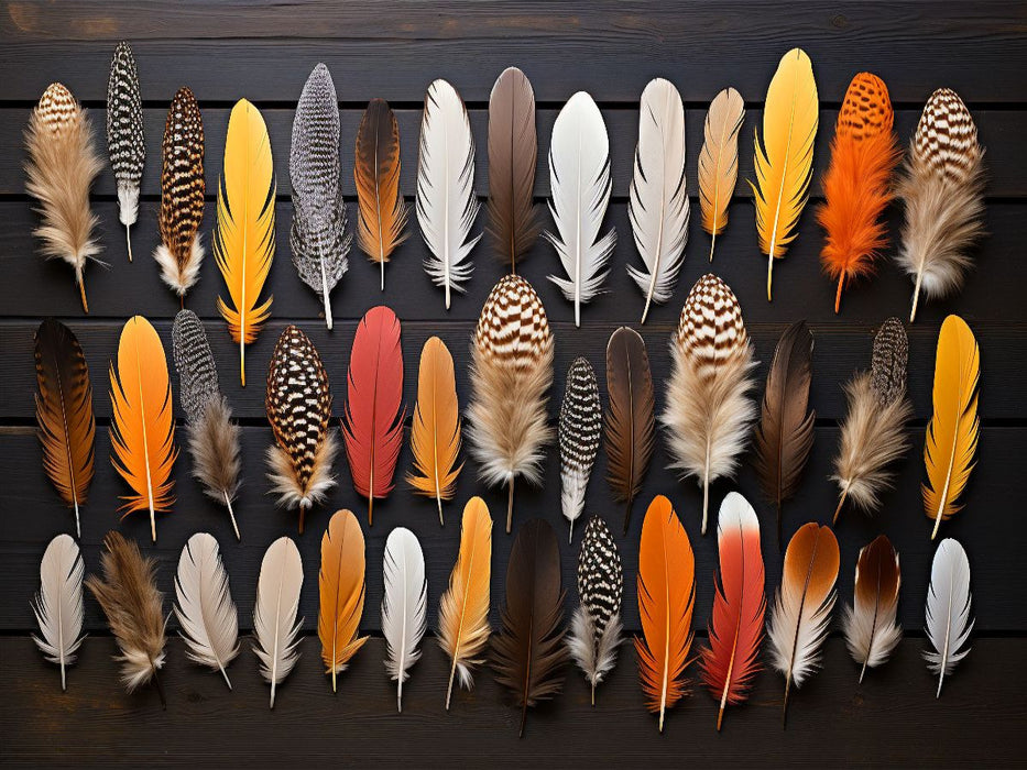 Federsammlung - bunte Federn arrangiert - CALVENDO Foto-Puzzle'