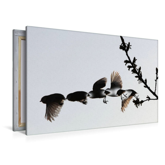 Premium Textil-Leinwand Ein Motiv aus dem Kalender Vögel im Fluge