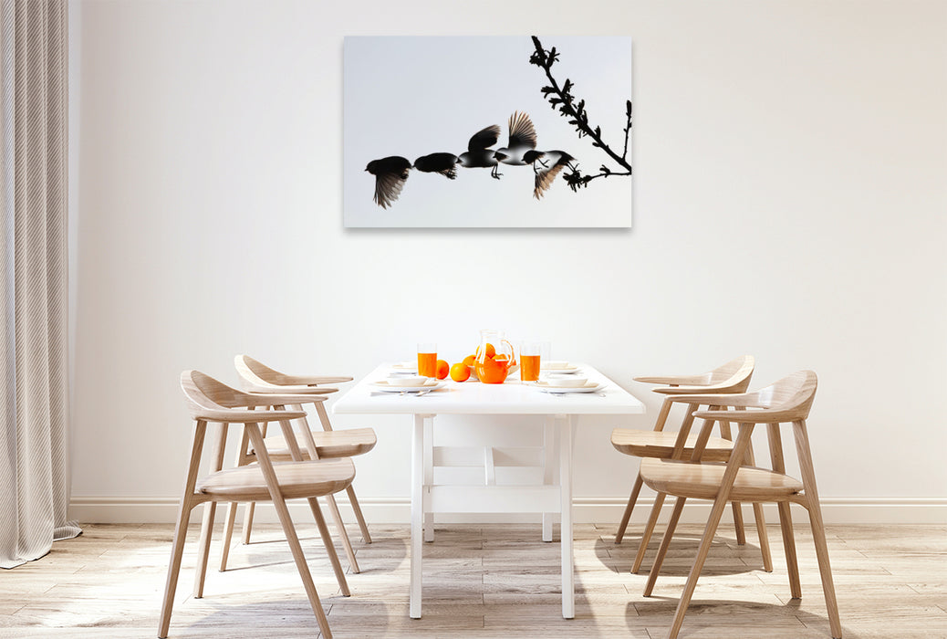 Premium Textil-Leinwand Ein Motiv aus dem Kalender Vögel im Fluge