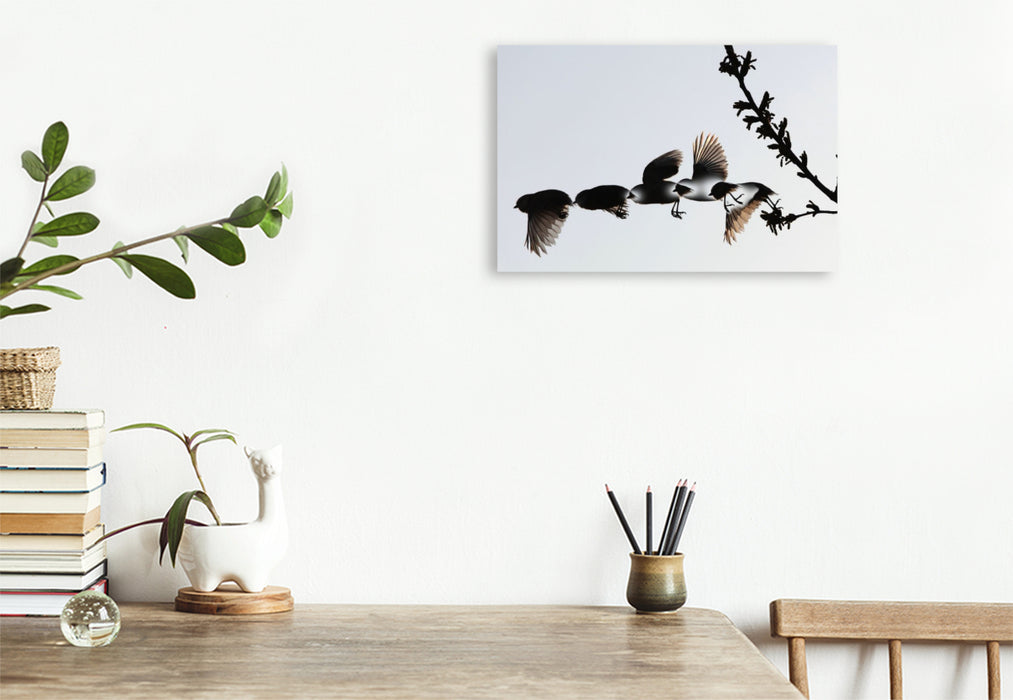 Premium Textil-Leinwand Ein Motiv aus dem Kalender Vögel im Fluge