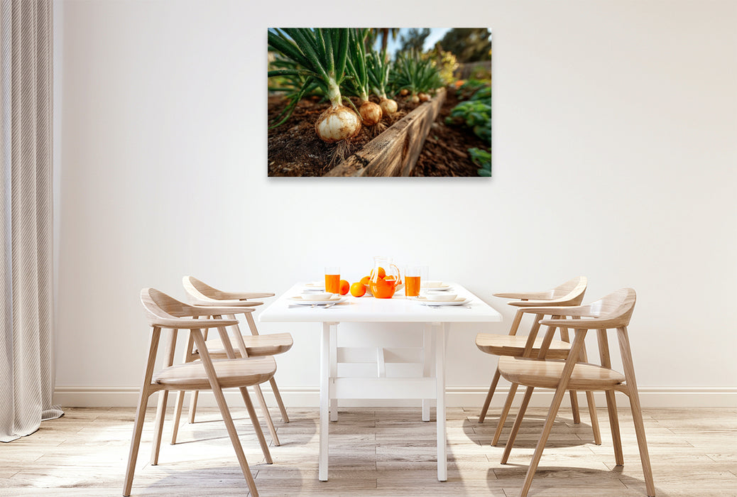 Premium Textil-Leinwand Frische Zwiebeln wachsen im Gartenbeet