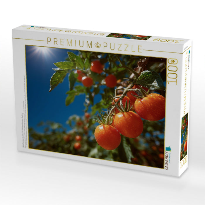 Reife Tomaten leuchten im Sonnenschein des Gartens - CALVENDO Foto-Puzzle'