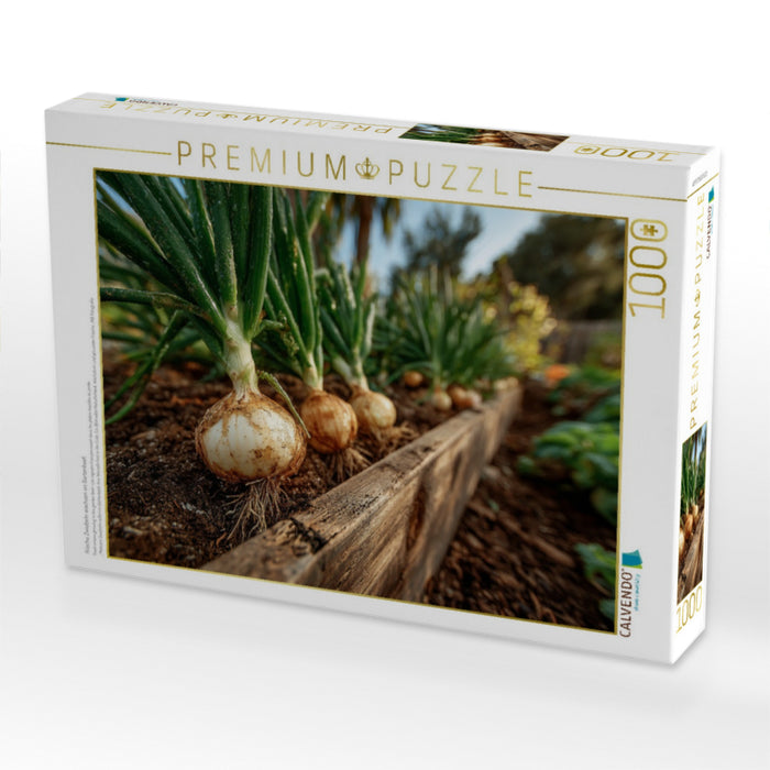 Frische Zwiebeln wachsen im Gartenbeet - CALVENDO Foto-Puzzle'