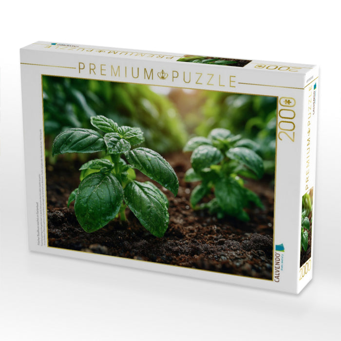 Frischer Basilikum wächst im Gartenbeet - CALVENDO Foto-Puzzle'
