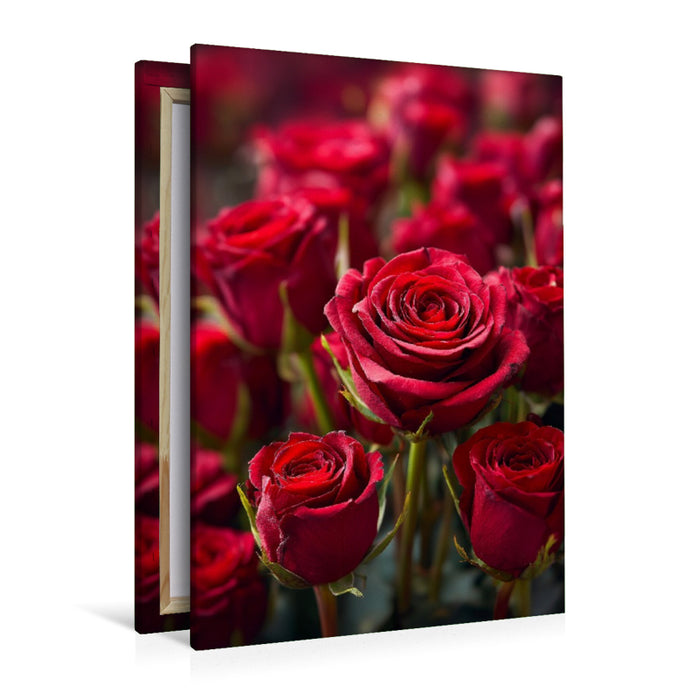Premium Textil-Leinwand Rote Rosen in voller Blüte