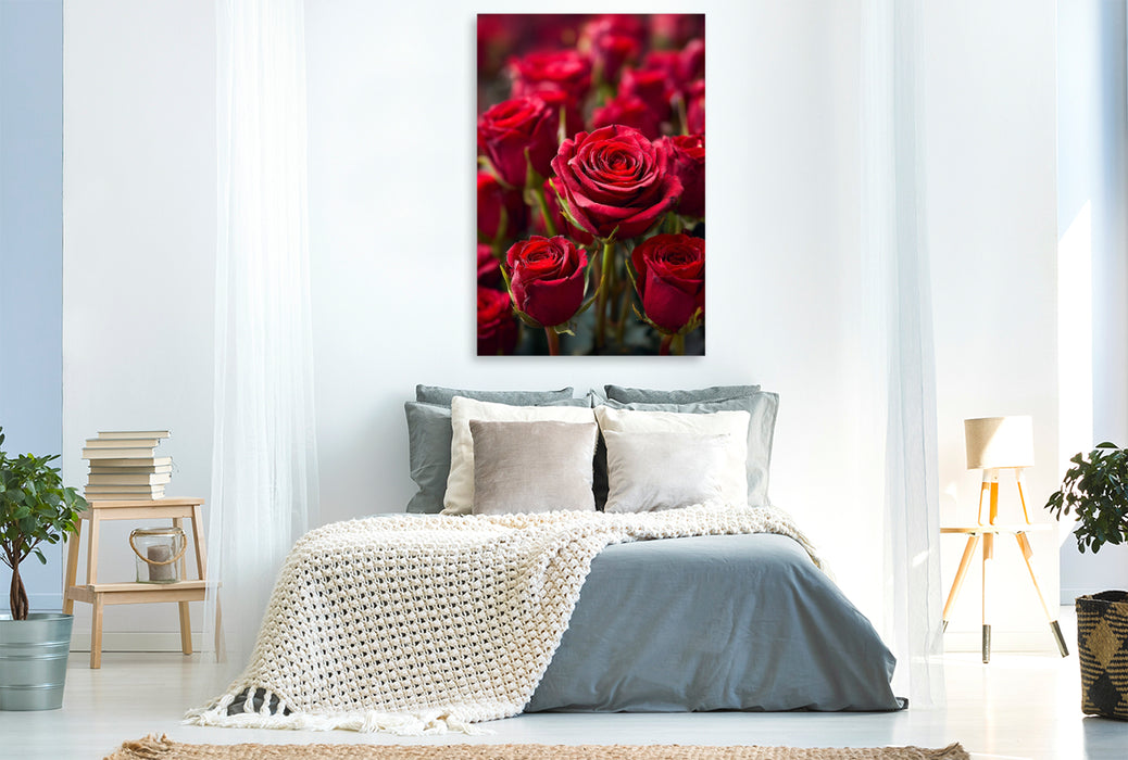 Premium Textil-Leinwand Rote Rosen in voller Blüte