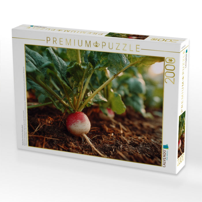 Radieschen frisch im Gartenbeet - CALVENDO Foto-Puzzle'