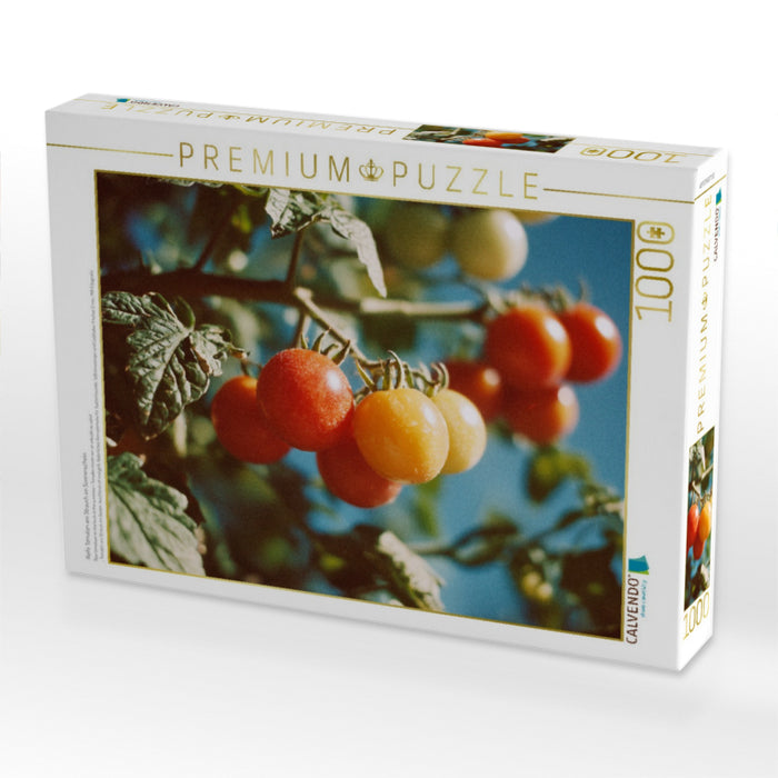Reife Tomaten am Strauch im Sonnenschein - CALVENDO Foto-Puzzle'