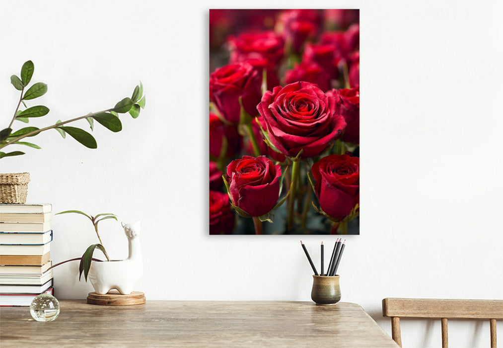 Premium Textil-Leinwand Rote Rosen in voller Blüte