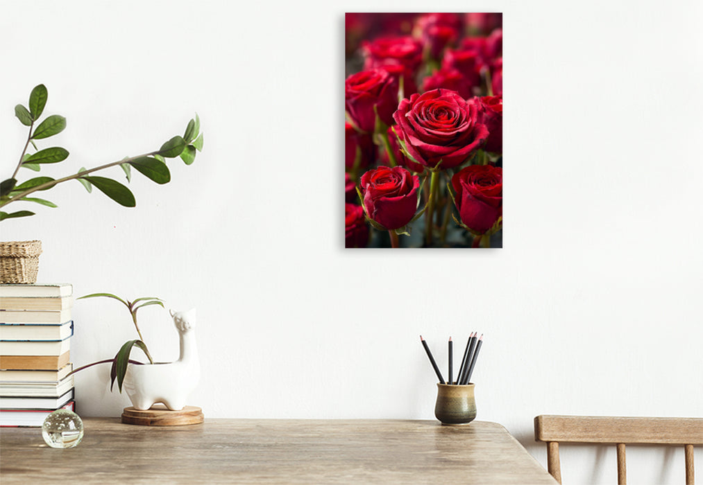 Premium Textil-Leinwand Rote Rosen in voller Blüte
