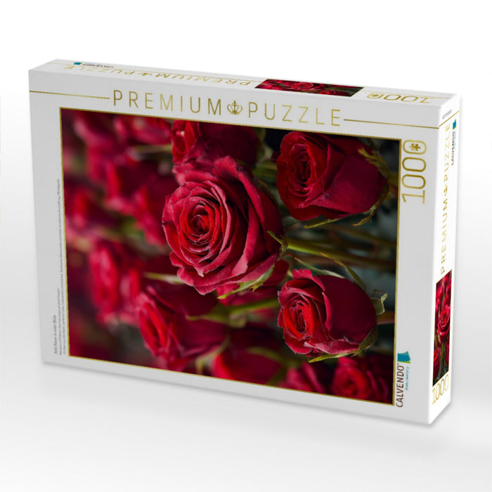 Rote Rosen in voller Blüte - CALVENDO Foto-Puzzle'