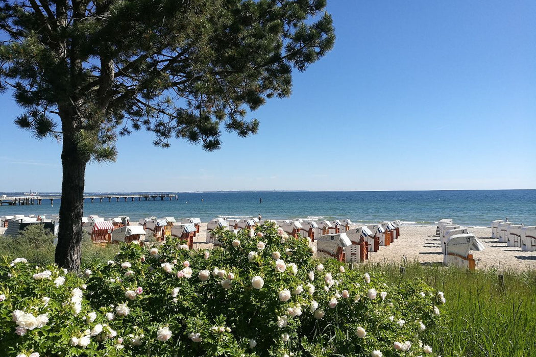 Premium Textil-Leinwand Blumenspiel am Strand