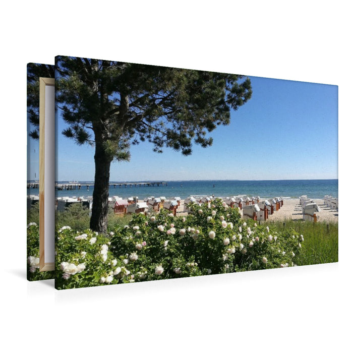 Premium Textil-Leinwand Blumenspiel am Strand