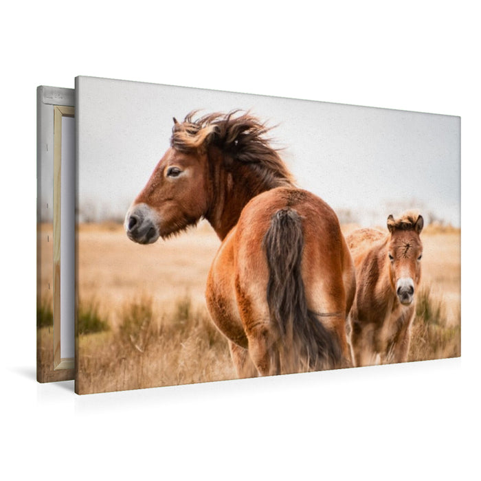 Premium Textil-Leinwand Stute und Fohlen gemeinsam unterwegs