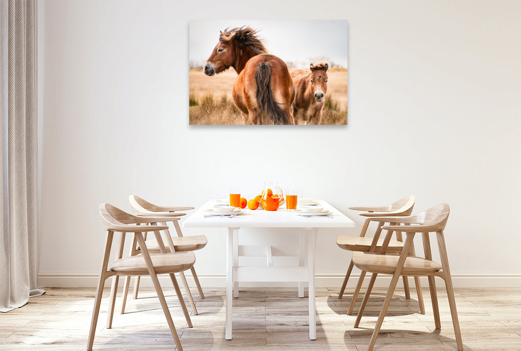 Premium Textil-Leinwand Stute und Fohlen gemeinsam unterwegs