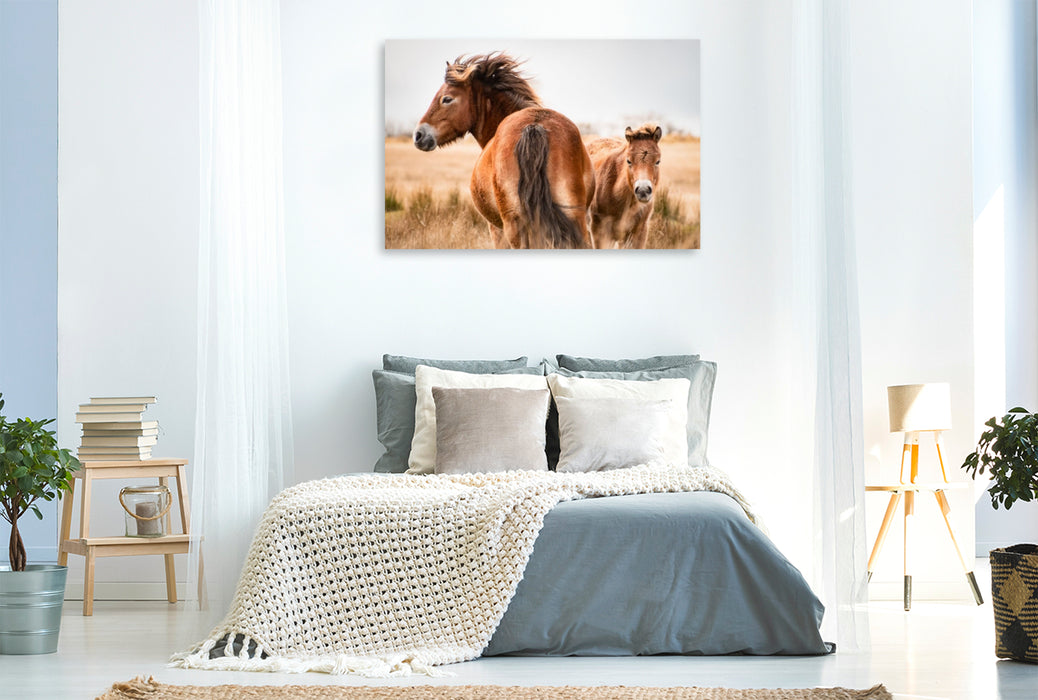 Premium Textil-Leinwand Stute und Fohlen gemeinsam unterwegs