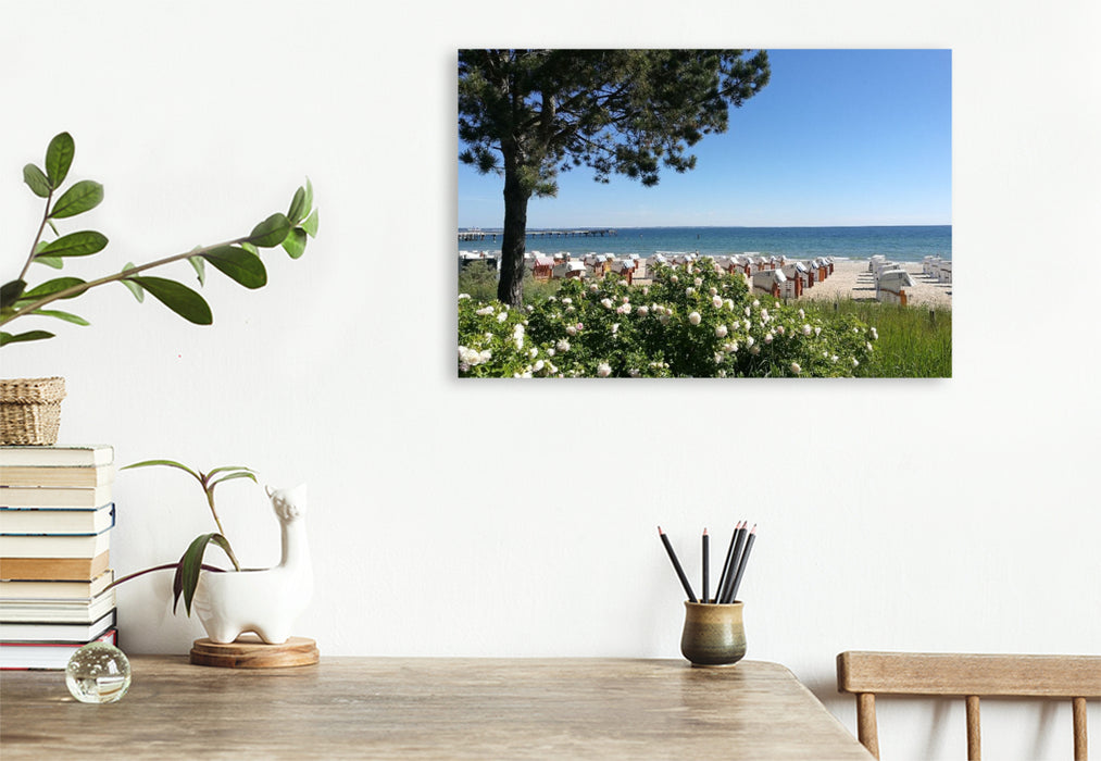 Premium Textil-Leinwand Blumenspiel am Strand