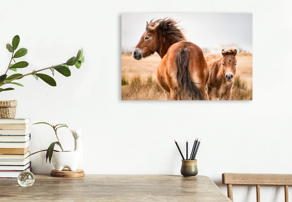 Premium Textil-Leinwand Stute und Fohlen gemeinsam unterwegs