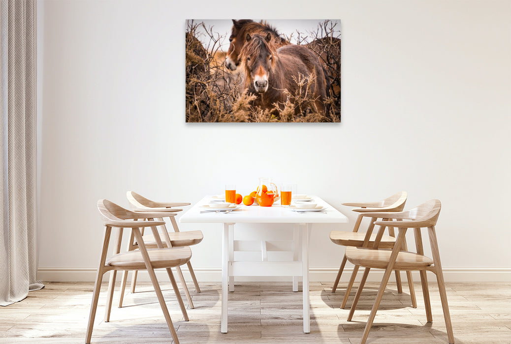 Premium Textil-Leinwand Wildes, rauhes Pferdeleben
