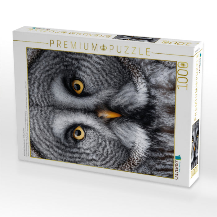 Bartkauz in faszinierender Großaufnahme - CALVENDO Foto-Puzzle'