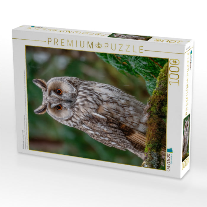 Waldohreule im grünen Wald - CALVENDO Foto-Puzzle'