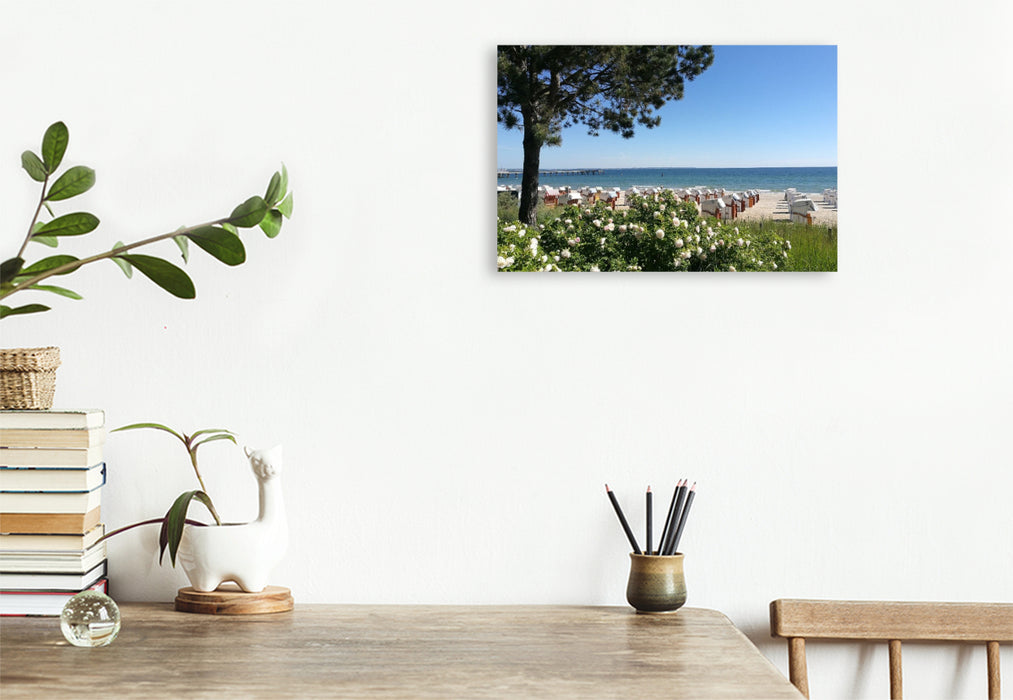 Premium Textil-Leinwand Blumenspiel am Strand