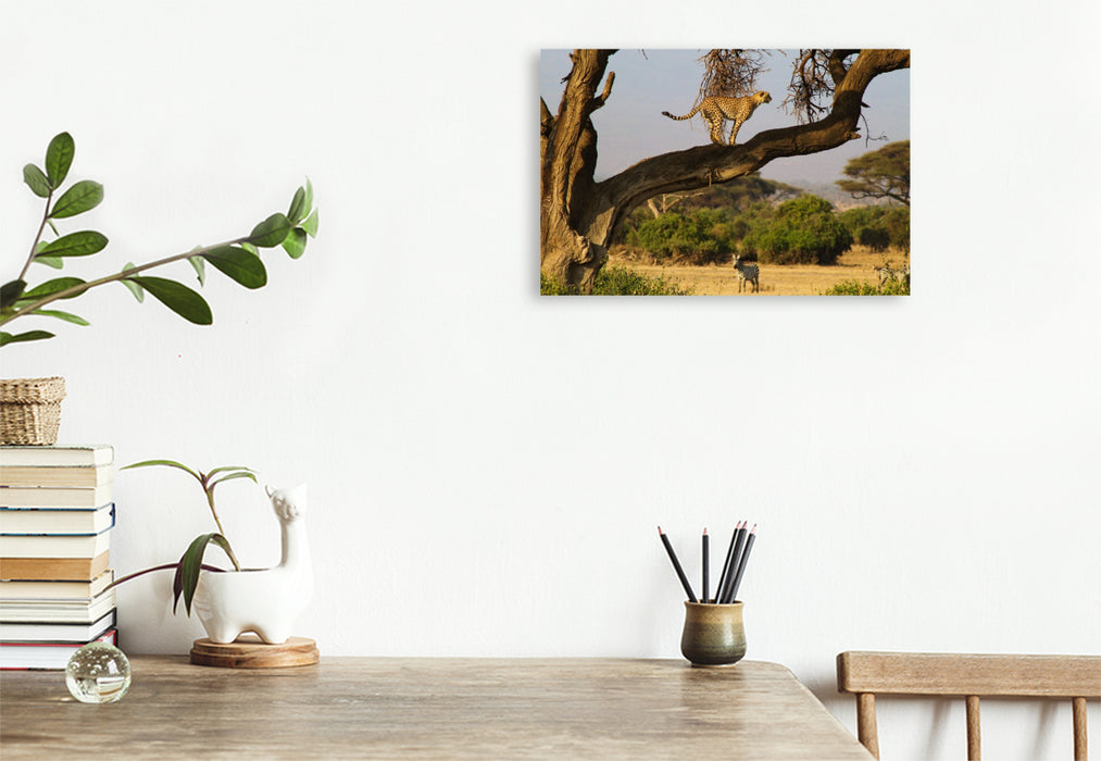 Premium Textil-Leinwand Gepard und Zebra