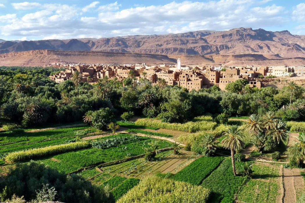Premium Textil-Leinwand Juwel in der Wüste – Skoura-Oase in Marokko