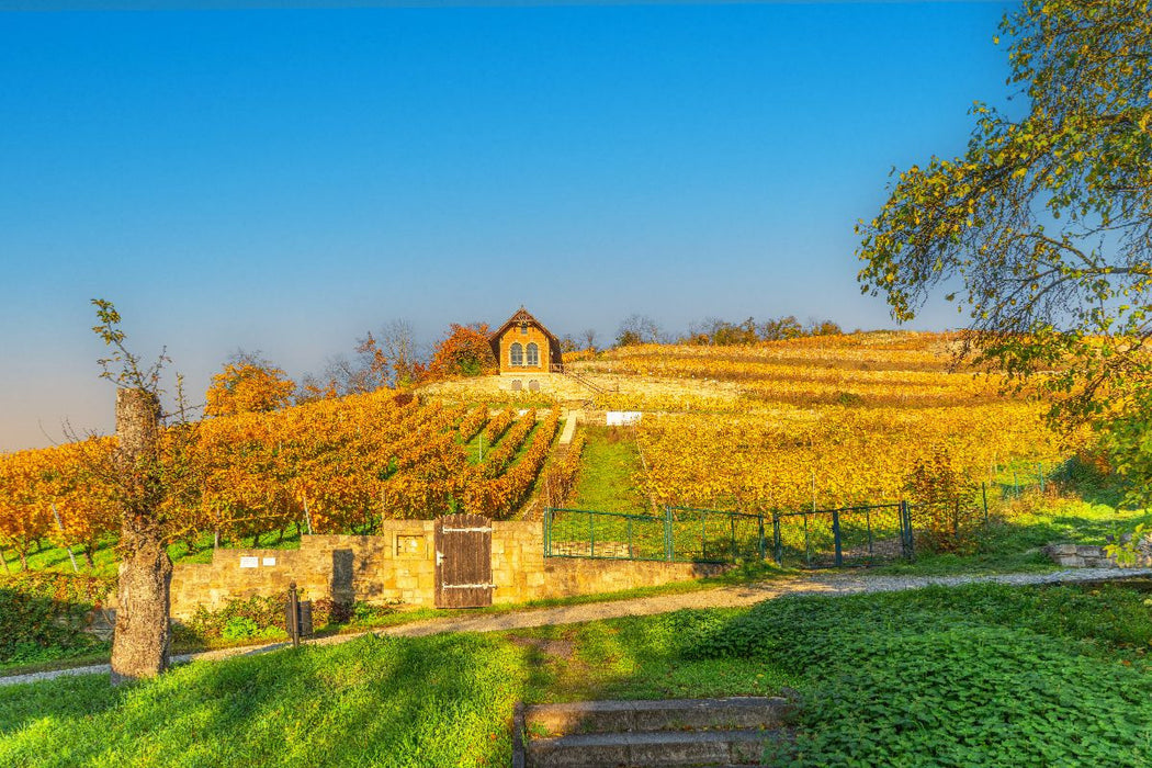 Premium Textil-Leinwand Weinanbaugebiet Saale-Unstrut bei Freyburg.