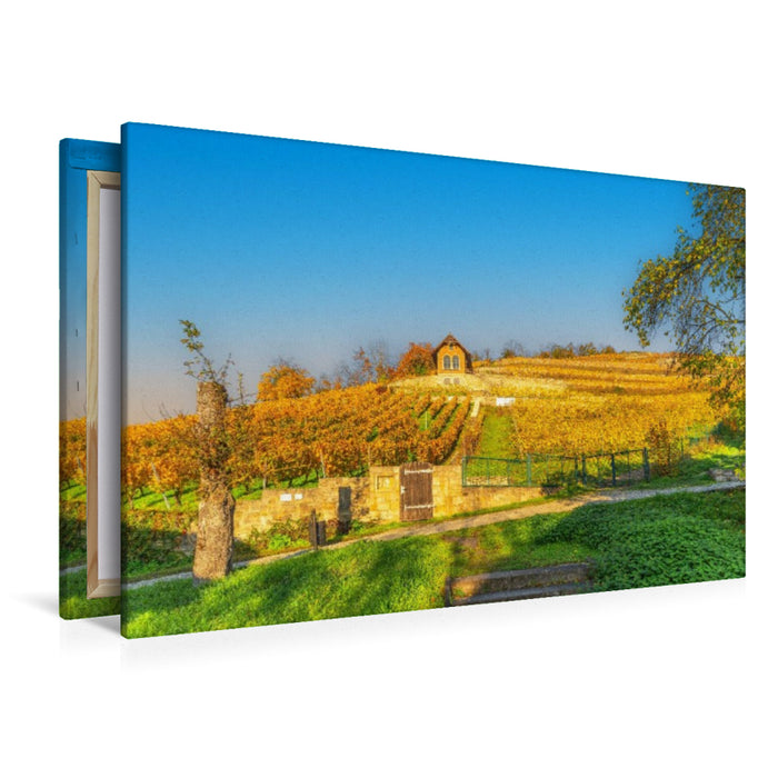 Premium Textil-Leinwand Weinanbaugebiet Saale-Unstrut bei Freyburg.