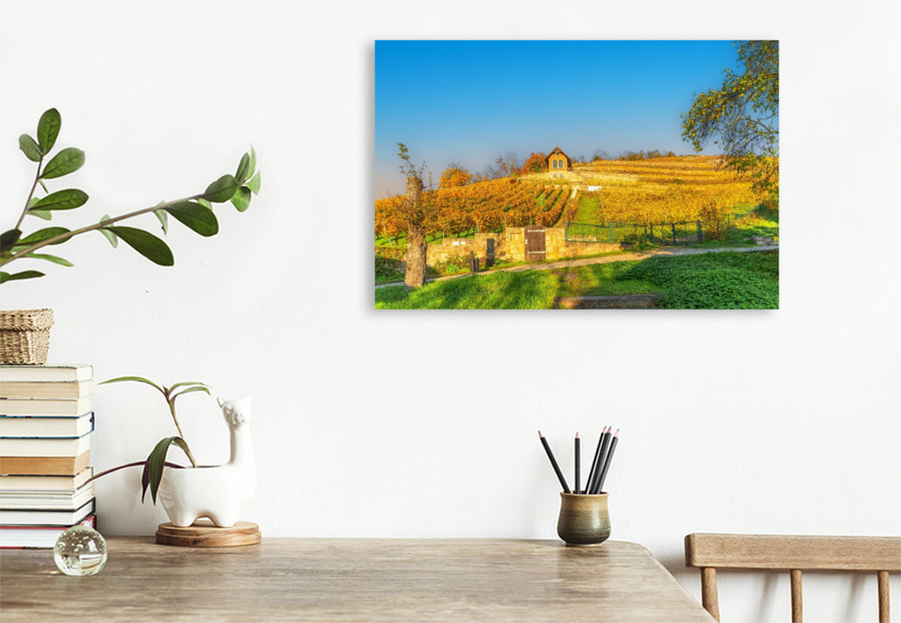 Premium Textil-Leinwand Weinanbaugebiet Saale-Unstrut bei Freyburg.