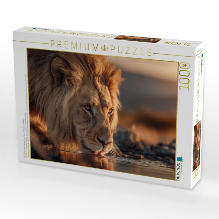 Der Löwe senkt den Kopf, um frisches Wasser zu trinken - CALVENDO Foto-Puzzle'