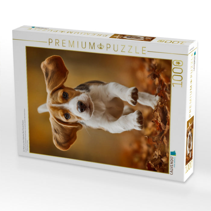 Ein Motiv aus dem Kalender Best Friends Forever - CALVENDO Foto-Puzzle'