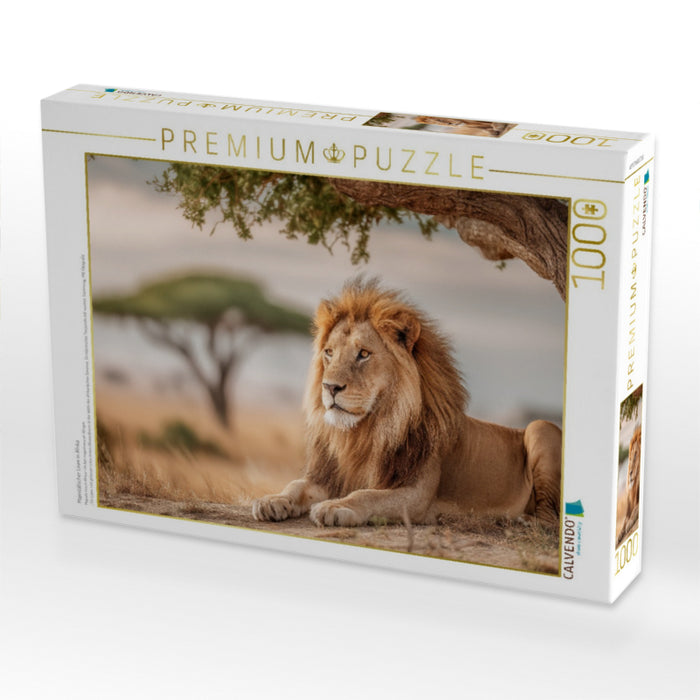Majestätischer Löwe in Afrika - CALVENDO Foto-Puzzle'