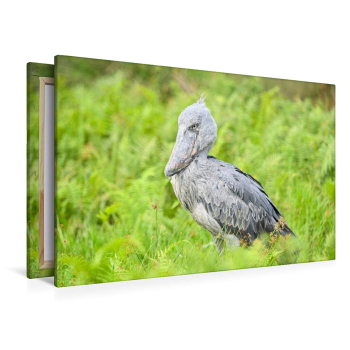 Premium Textil-Leinwand Schuhschnabel Storch im Lake Victoria
