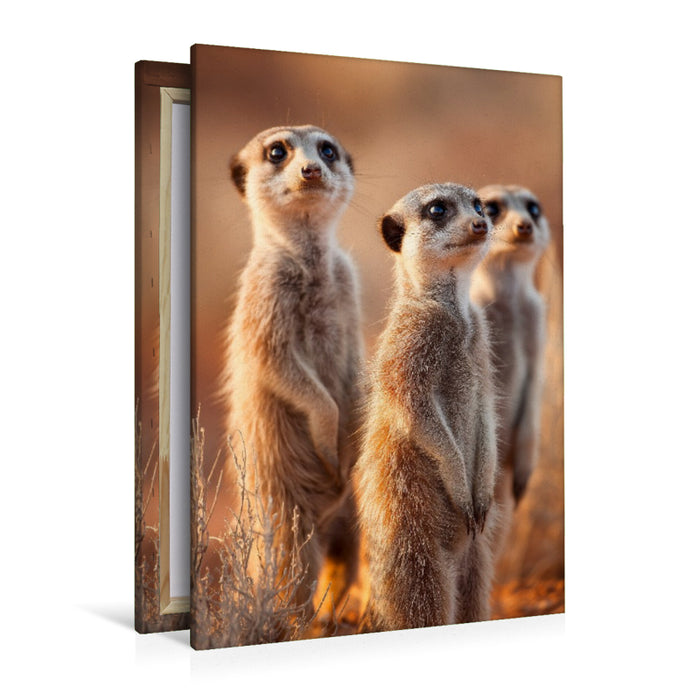 Premium Textil-Leinwand Erdmännchen Familie steht aufmerksam in der Savanne