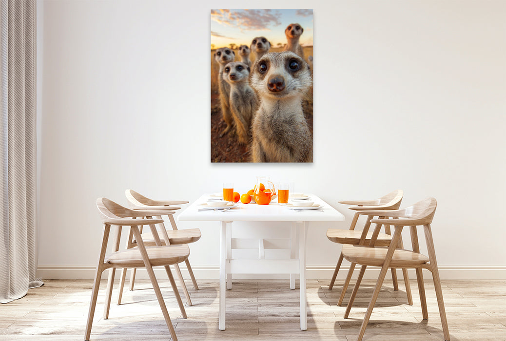 Premium Textil-Leinwand Erdmännchen Gruppe in der Savanne beim Sonnenuntergang