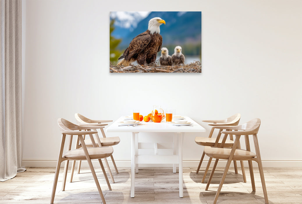 Premium Textil-Leinwand Weißkopfseeadler mit Jungvögeln im Nest vor Bergkulisse