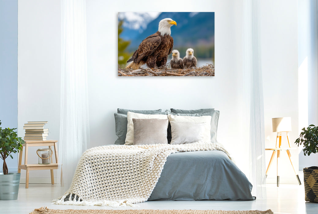 Premium Textil-Leinwand Weißkopfseeadler mit Jungvögeln im Nest vor Bergkulisse