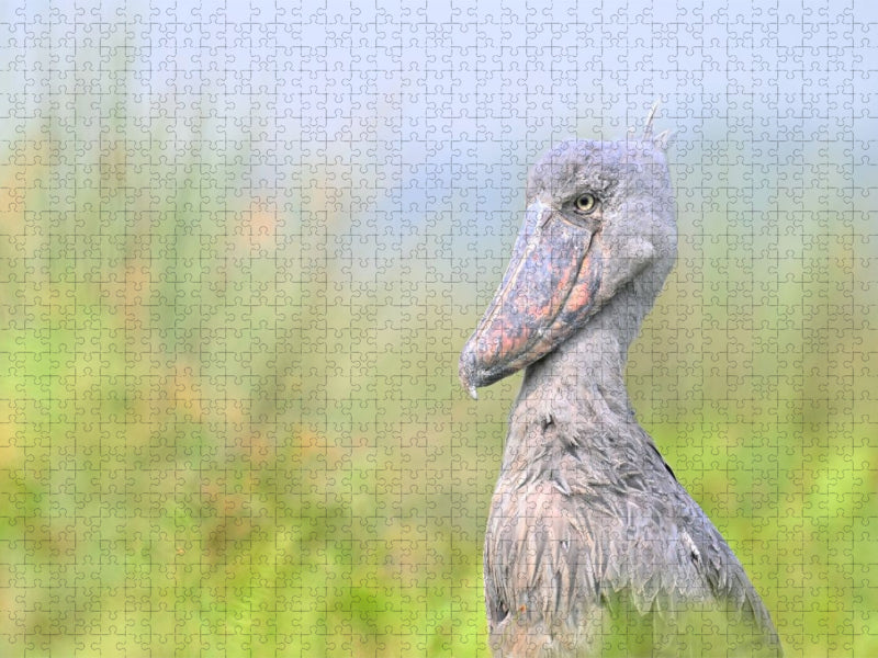 Schuhschnabel im Lake Victoria - CALVENDO Foto-Puzzle'