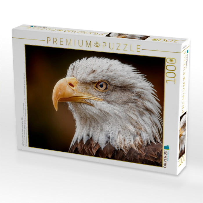 Weißkopfseeadler im Detail mit scharfem Blick - CALVENDO Foto-Puzzle'