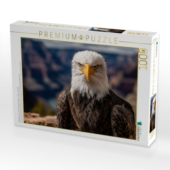 Weißkopfseeadler mit durchdringendem Blick in wilder Landschaft - CALVENDO Foto-Puzzle'