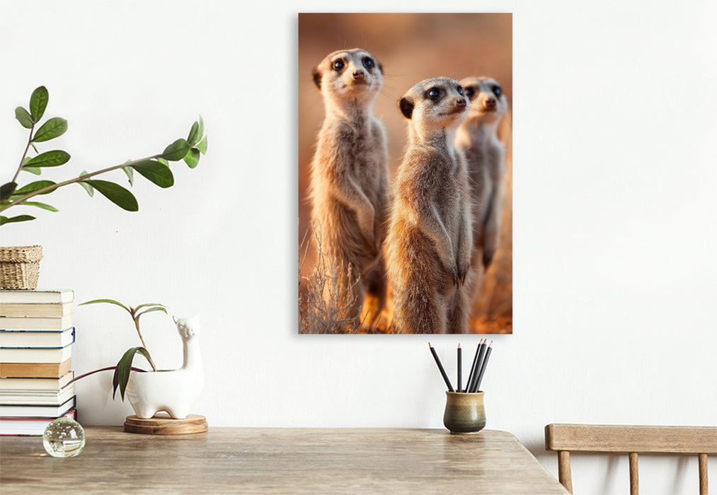 Premium Textil-Leinwand Erdmännchen Familie steht aufmerksam in der Savanne
