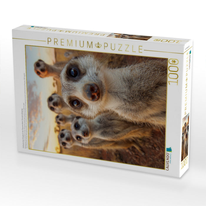 Erdmännchen Gruppe in der Savanne beim Sonnenuntergang - CALVENDO Foto-Puzzle'