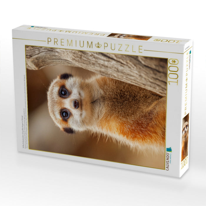 Süßes Erdmännchen mit großen Augen im Portrait - CALVENDO Foto-Puzzle'