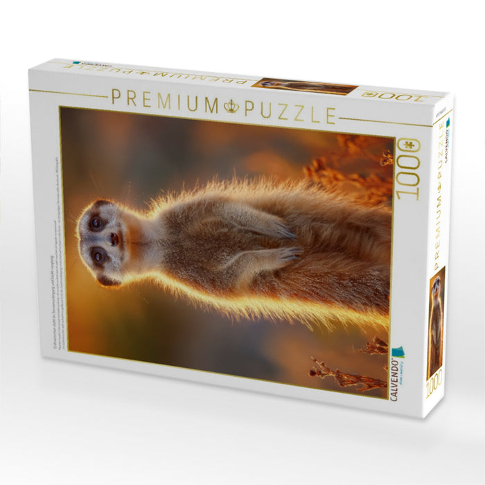 Erdmännchen steht im Sonnenuntergang und blickt neugierig - CALVENDO Foto-Puzzle'